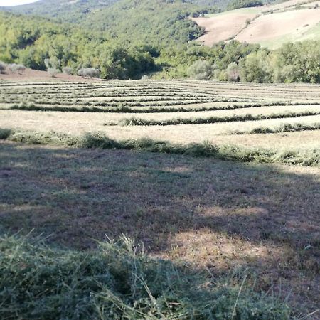Casa A Montebello Di Bertona Con Vista Gran Sassoヴィラ エクステリア 写真