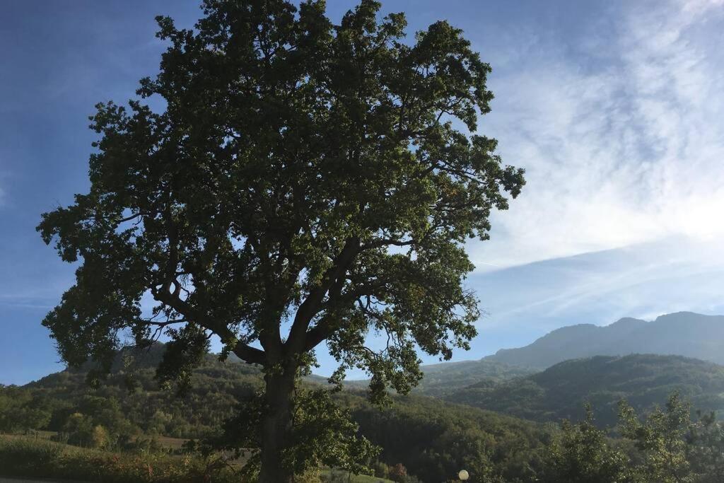 Casa A Montebello Di Bertona Con Vista Gran Sassoヴィラ エクステリア 写真