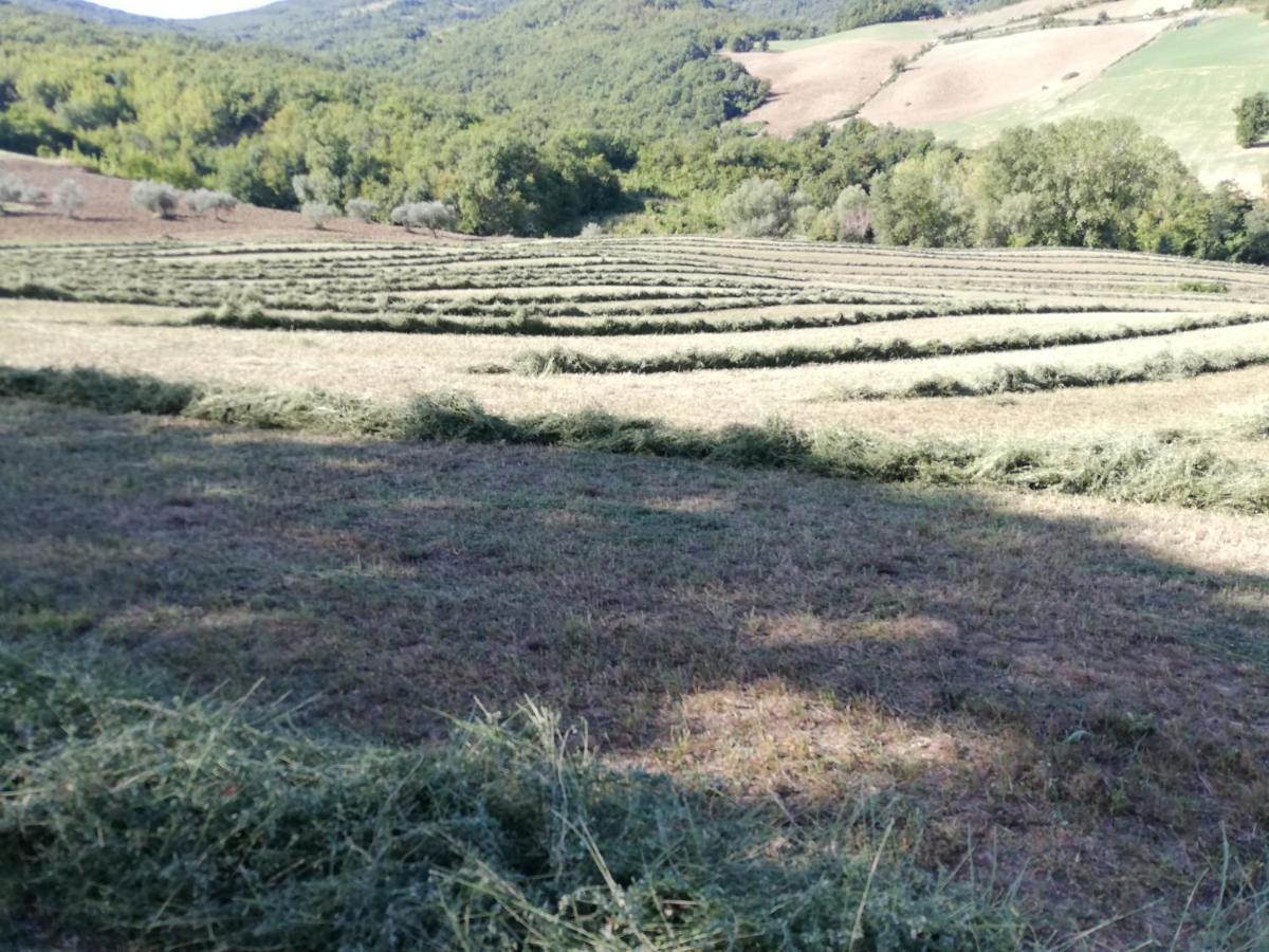 Casa A Montebello Di Bertona Con Vista Gran Sassoヴィラ エクステリア 写真