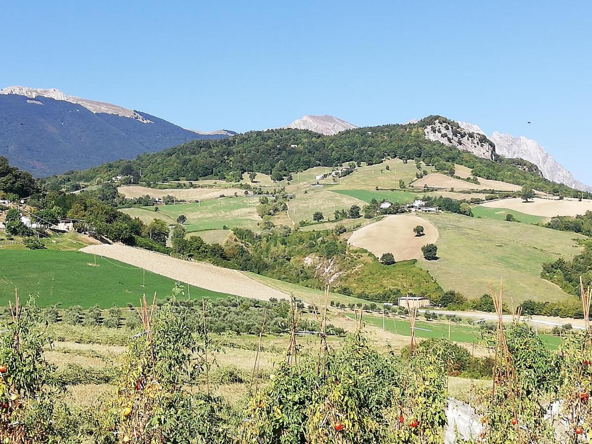 Casa A Montebello Di Bertona Con Vista Gran Sassoヴィラ エクステリア 写真