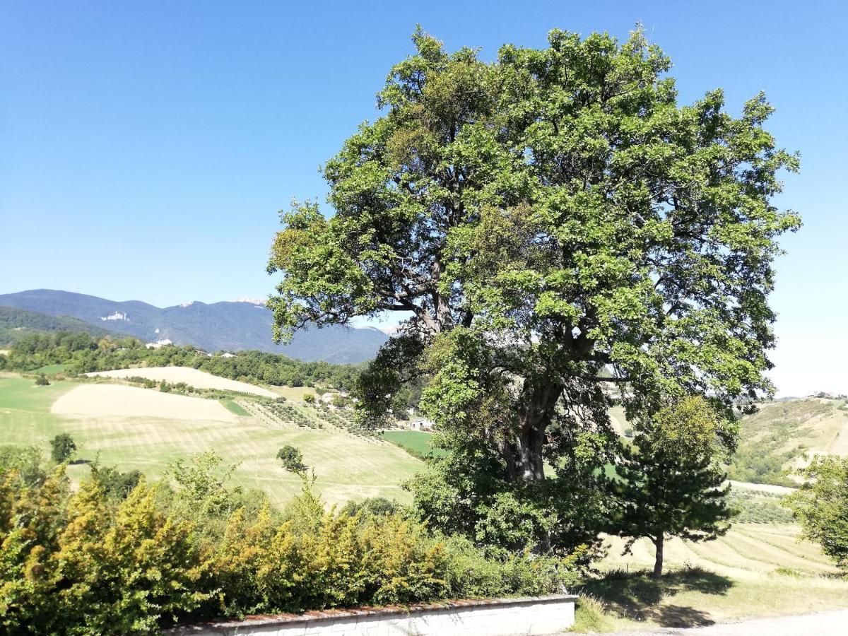 Casa A Montebello Di Bertona Con Vista Gran Sassoヴィラ エクステリア 写真